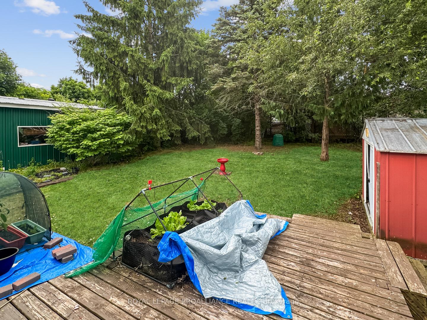 Photo 16 of 215 Pine Street, Belleville, Belleville Ward — HOMEH