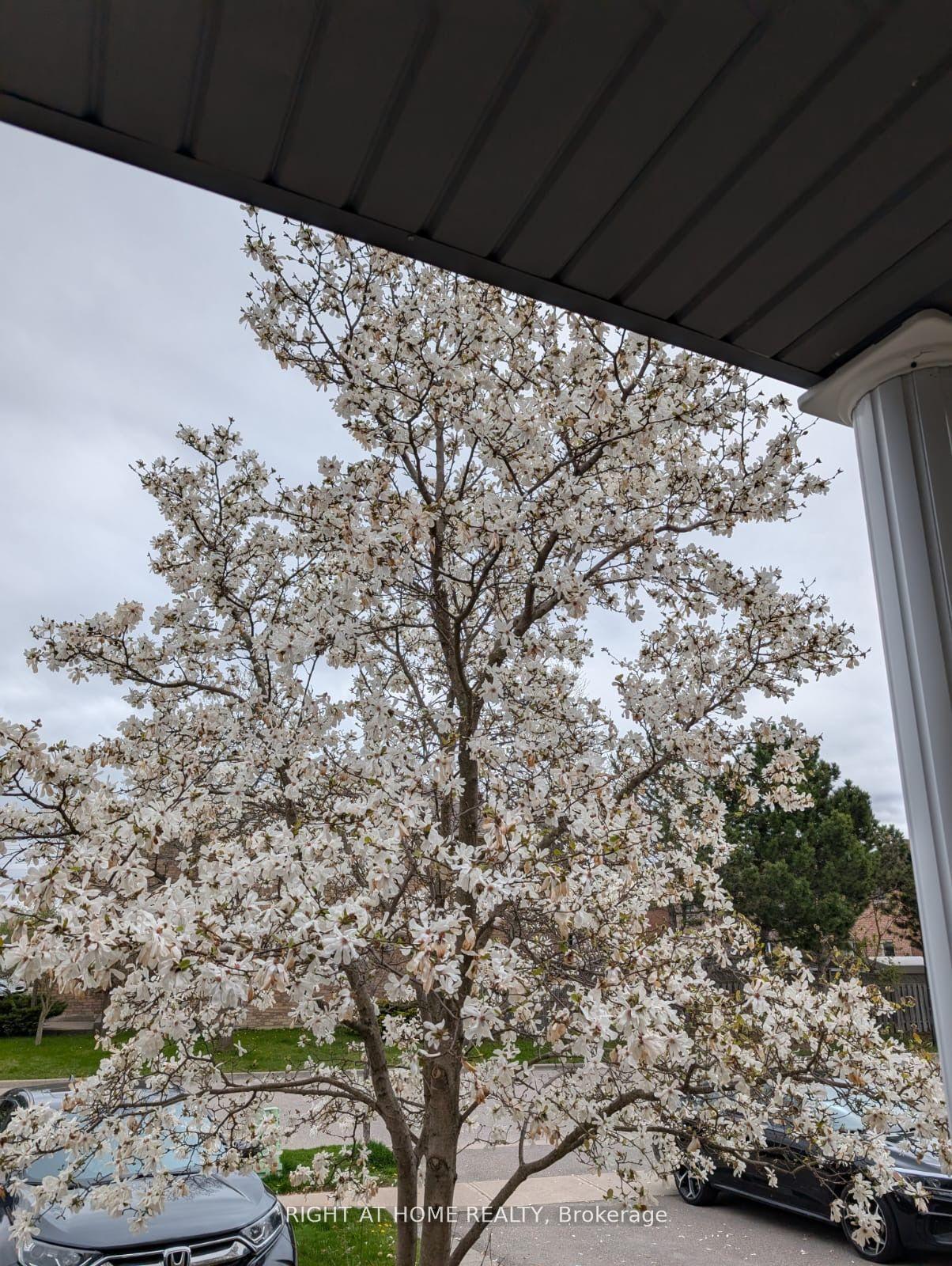 Photo 3 of 18 Archbury Circle, Caledon, Bolton East — HOMEH
