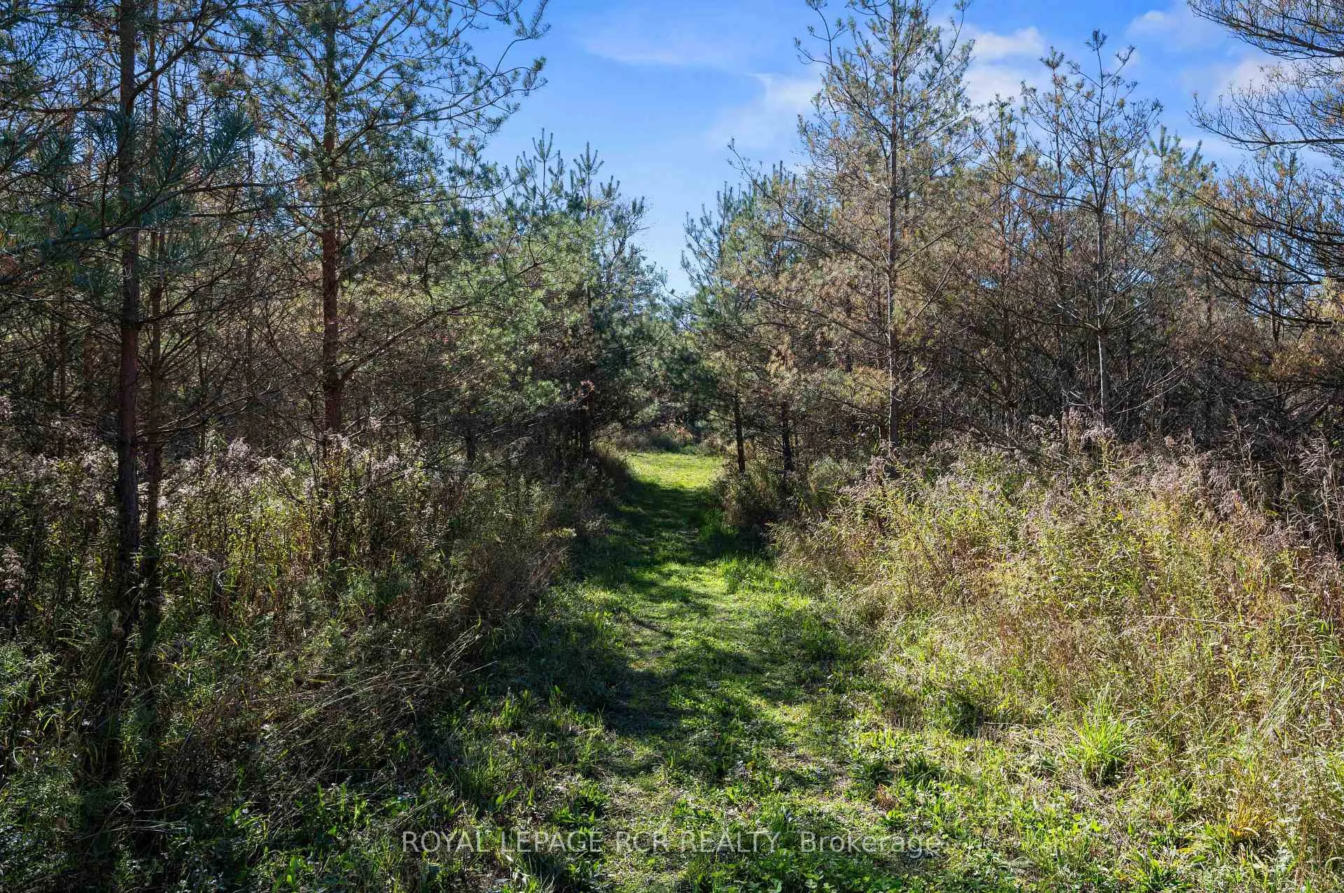 Photo 37 of 736242 West Back Line, Chatsworth — HOMEH