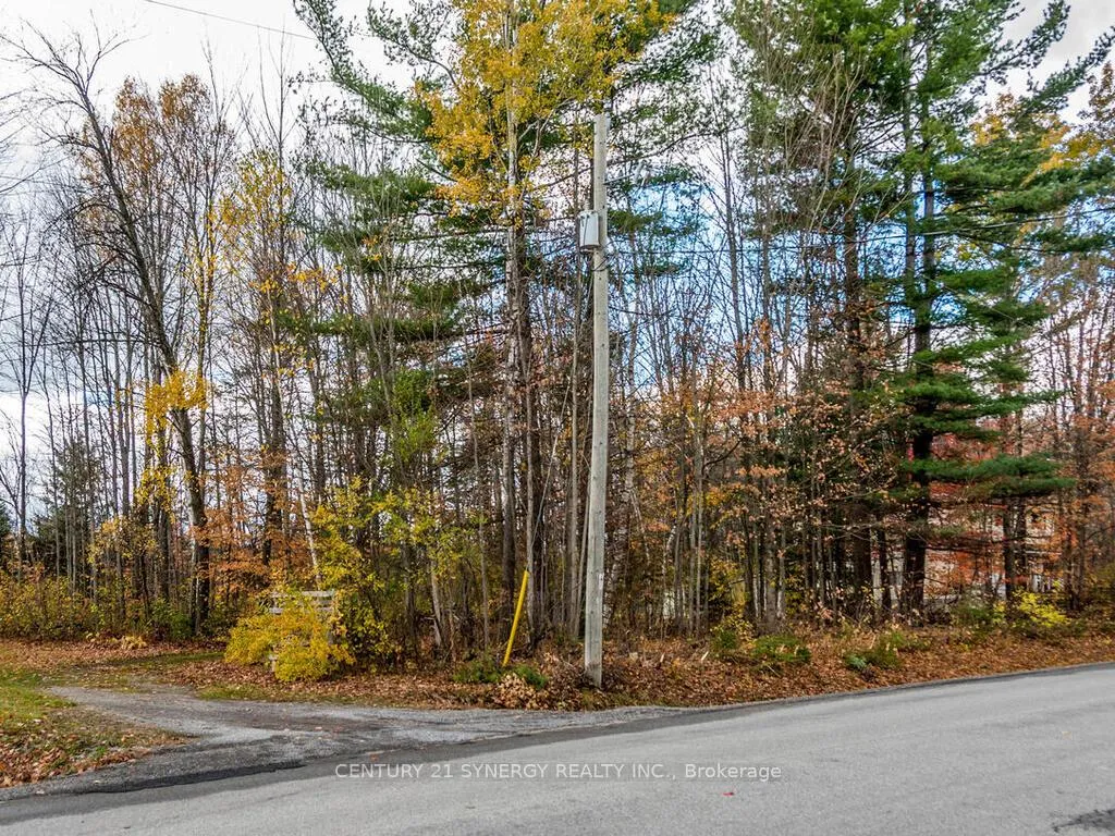 Photo 45 of 1423 Diamondview Road, Ottawa, Huntley Ward (South East) — HOMEH