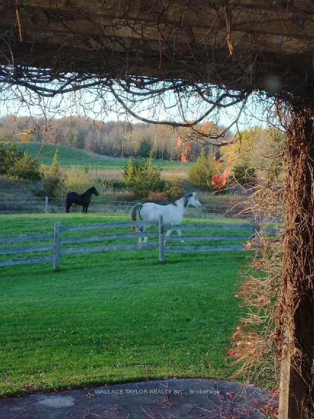Photo 25 of 524 Hoover Road, Stirling-Rawdon, Rawdon Ward — HOMEH