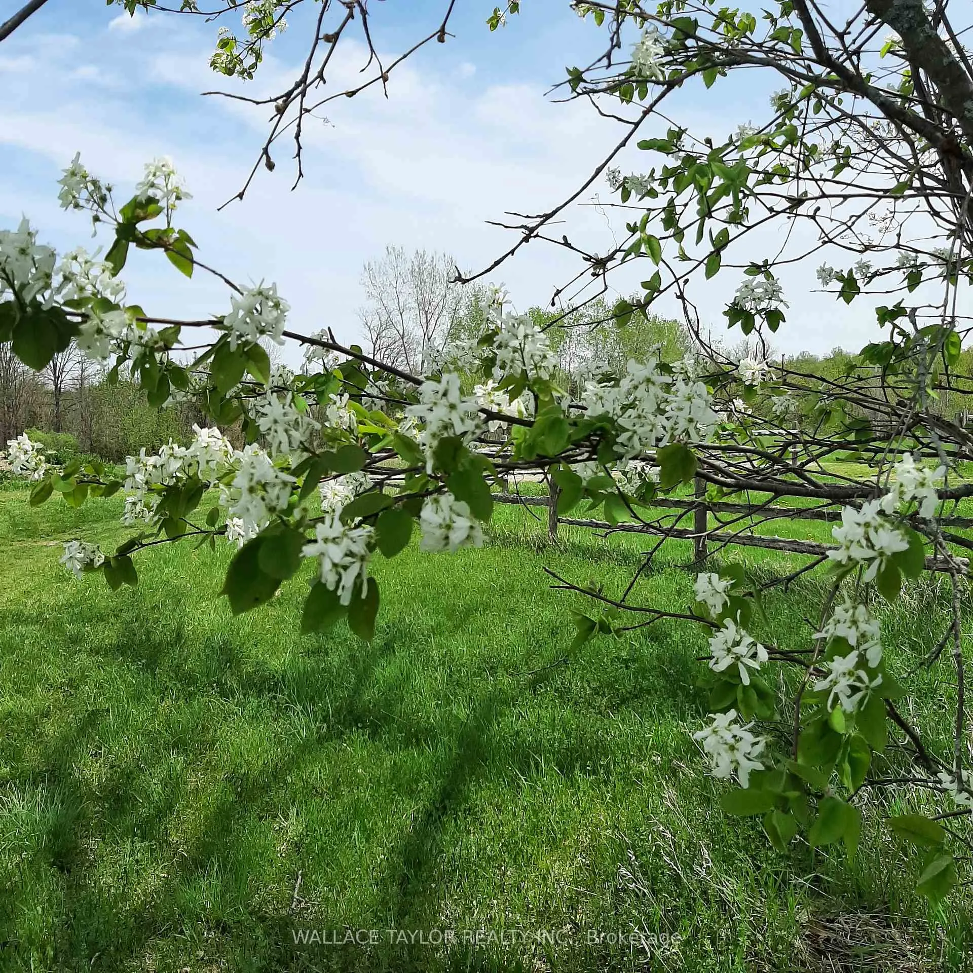 Photo 27 of 524 Hoover Road, Stirling-Rawdon, Rawdon Ward — HOMEH