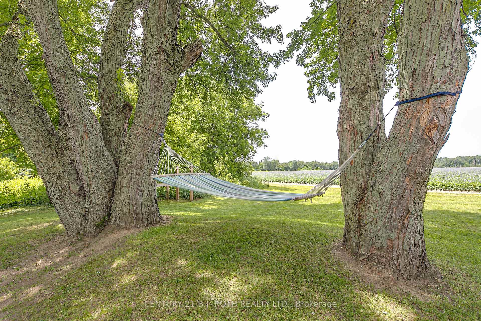 Photo 6 of 17 Denney Drive, Essa, Rural Essa — HOMEH