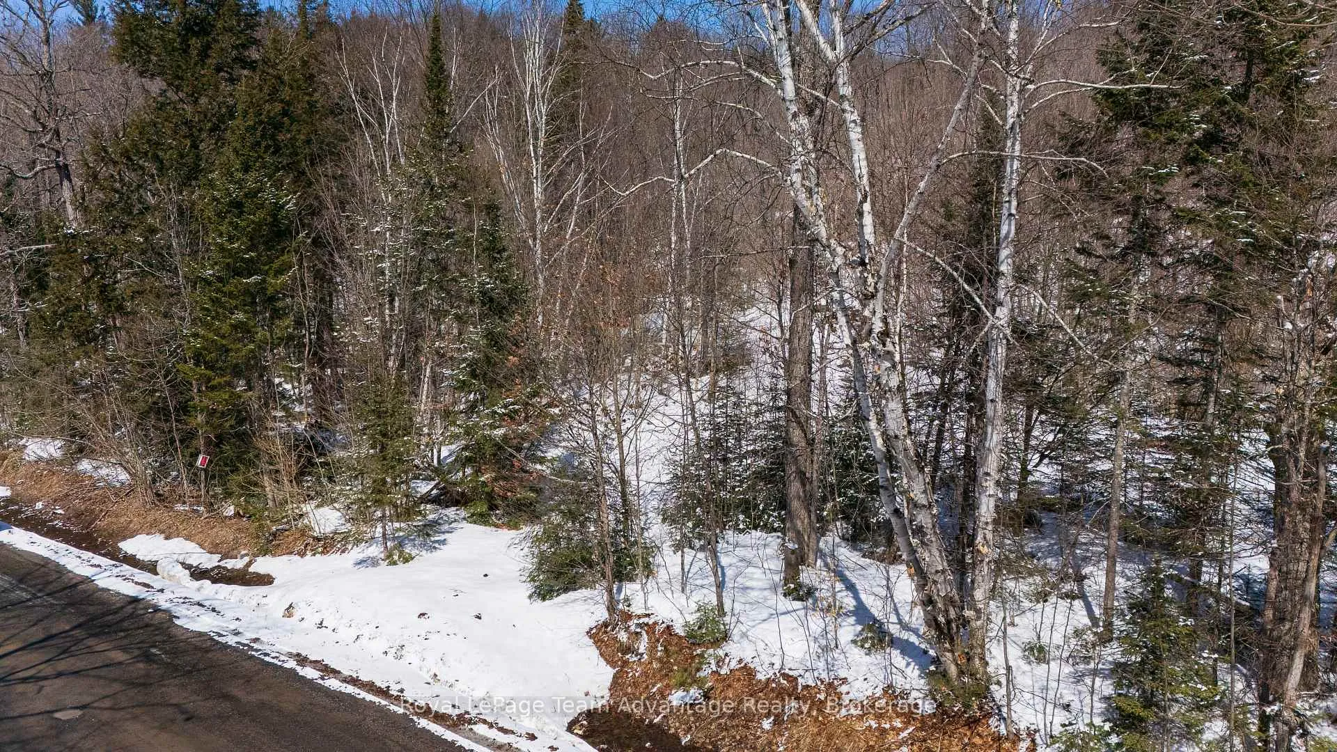 Photo 9 of Turtle Lake Road, Seguin — HOMEH