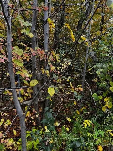 Photo 7 of 78178 Lavrangue Drive E, Central Huron, Goderich — HOMEH
