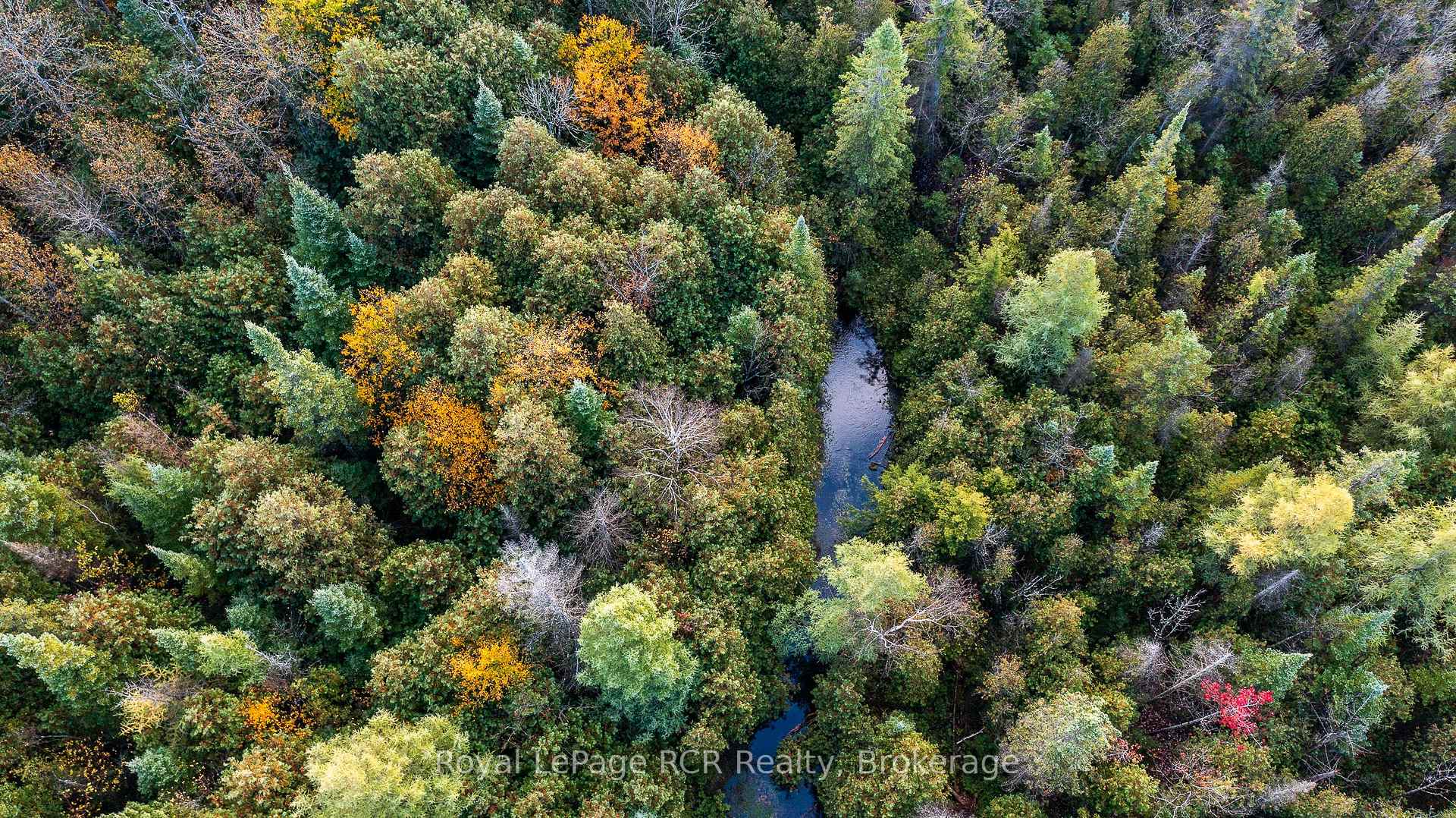 Photo 41 of 315693 6 Highway, Chatsworth — HOMEH